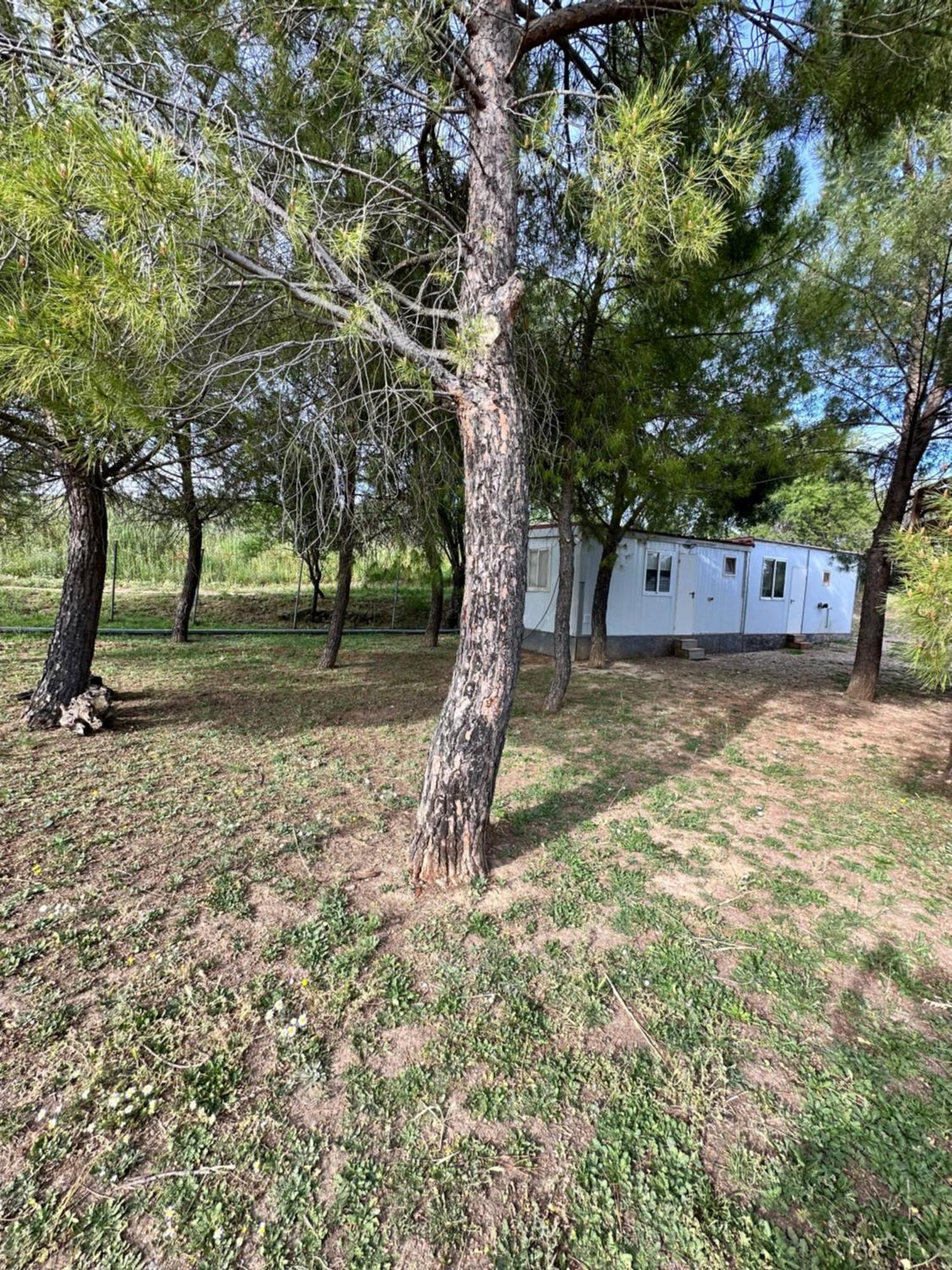 Bungalow Golosina Torrelaguna Kültér fotó